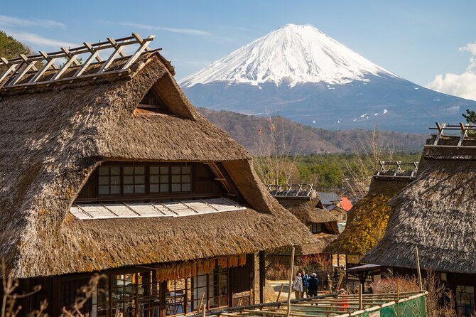 Mt Fuji Private Day Trip from Tokyo with English Speaking Driver - Price and logistics: what you’re really paying for