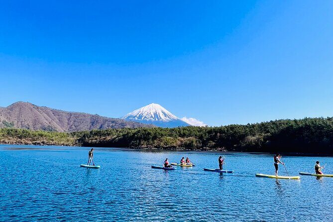 Mt Fuji Private Day Trip from Tokyo with English Speaking Driver - Chureito Pagoda at Arakurayama Sengen Park: the photo stop that matters