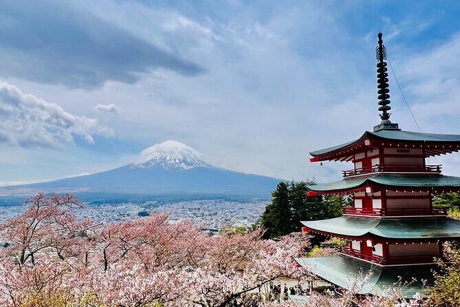 Mt Fuji Private Day Trip from Tokyo with English Speaking Driver - Saiko Lake and Saiko Iyashi no Sato Nenba: slowing down near Mt. Fuji