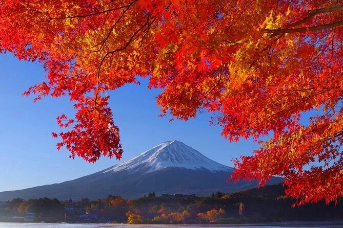 Mt Fuji Private Day Trip from Tokyo with English Speaking Driver - Your 8:00 am start: meet-and-greet, mobile ticket, and staying on track