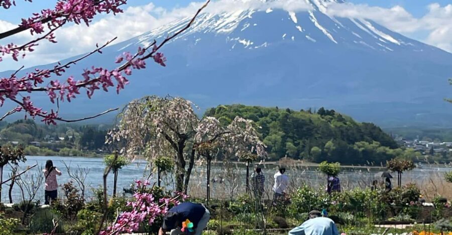 Mt.FUji private Full Day Trip with English Driver - Chureito Pagoda: your first walk and photo stop