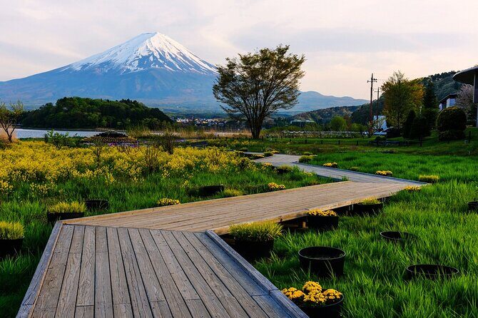 Mt.Fuji Private SightSeeing Day Tour (From Tokyo) - Fugaku Wind Cave and the Ice-Cave Moment