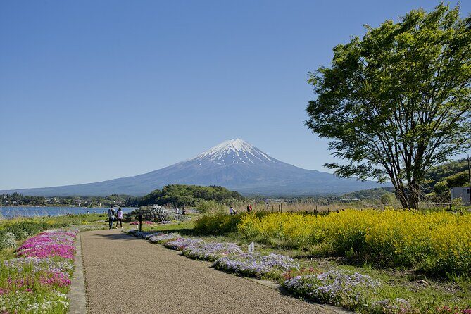 Mt.Fuji Private SightSeeing Day Tour (From Tokyo) - The Core Route: Fuji Views + Water + Shrines + Caves