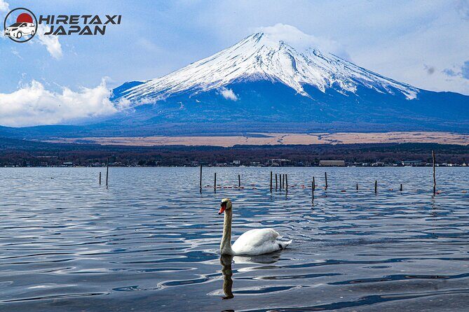 MT. FUJI/ Private Tour delivered and guided by a top-tier driver - The Value Check: $724.78 Per Group and What It Really Covers