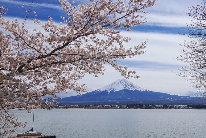 Mt Fuji Private Tour with English Speaking Driver - Optional Mt. Fuji Panoramic Ropeway: when to spend extra