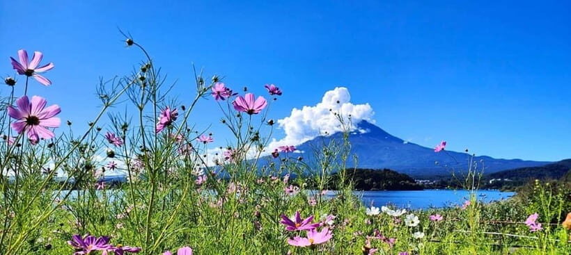 Mt. Fuji Private Tour With Hotel Pick Up From Tokyo - Key things that make this tour work