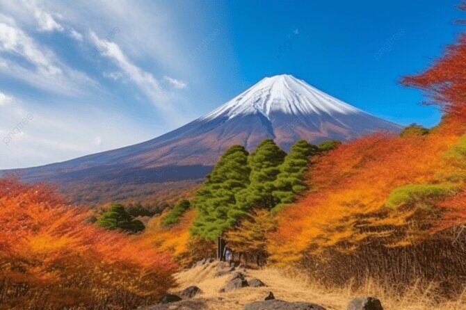 Mt Fuji Private Tour with Native Japanese Driver - One-day Mt Fuji + Hakone can work, if you want convenience