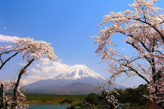 Mt Fuji Private Tour with Native Japanese Driver - Lake Ashinoko: finishing with a lake view