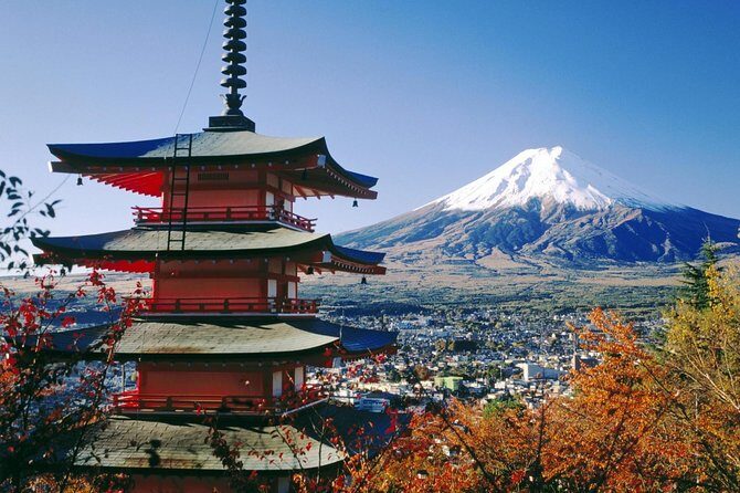 Mt Fuji Private Tour with Native Japanese Driver - The “Mount Fuji” portion and meal breaks you’ll pay for