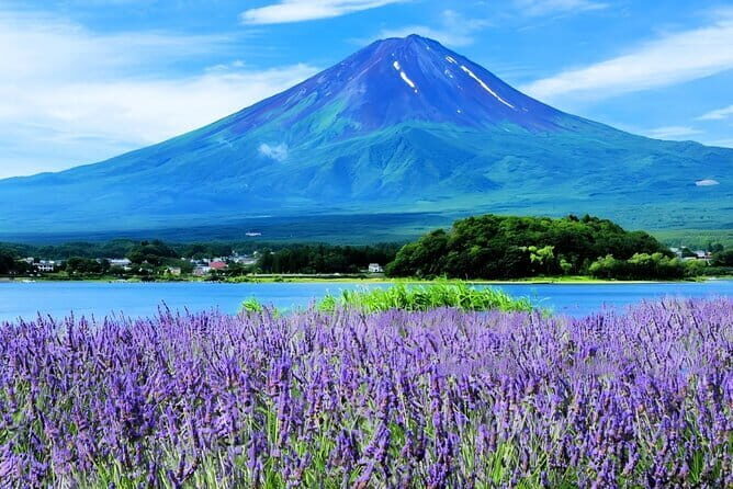 Mt Fuji Small Group 1 Day Tour Kawaguchi and Yamanaka with Pickup - Key things to know before you go