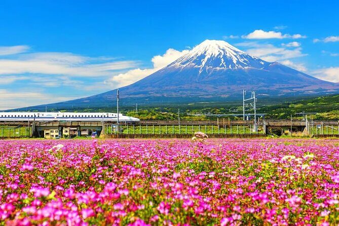 Mt. Fuji to Lake Kawaguchi, Lake Yamanaka and Onsen Day Tour - Key highlights I’d prioritize