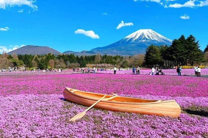 Mt. Fuji to Lake Kawaguchi, Lake Yamanaka and Onsen Day Tour - Lake Kawaguchi and Oishi Park: the Fuji Five Lakes feeling