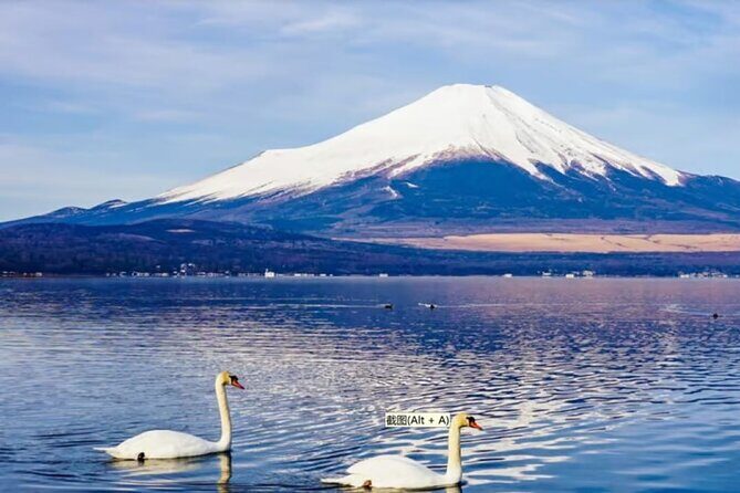 Mt. Fuji to Lake Kawaguchi, Lake Yamanaka and Onsen Day Tour - The onsen stop: relaxing reset, with tattoo entry rules to know