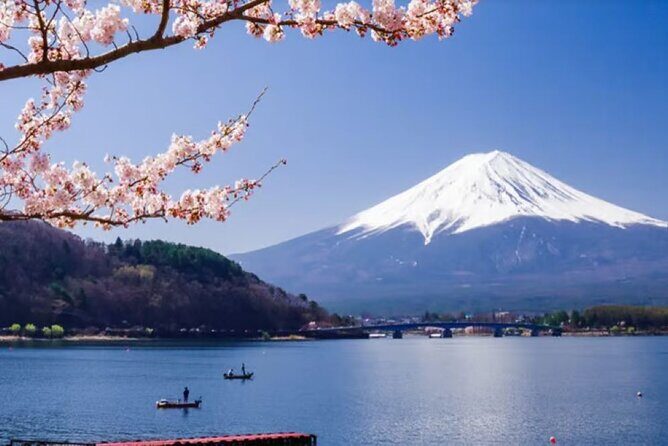 Mt. Fuji to Lake Kawaguchi, Lake Yamanaka and Onsen Day Tour - Price and what you actually get for $115
