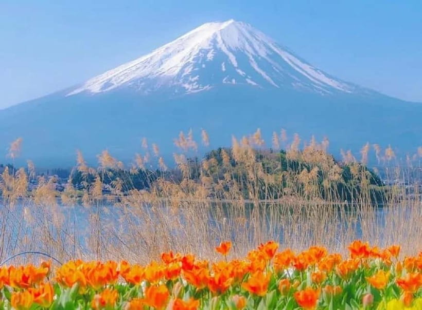 Mt Fuji Top 5 Spots Day Tour: Arakurayama Park,Oshino Hakkai - A 10-Hour Fuji Photo Circuit From Tokyo