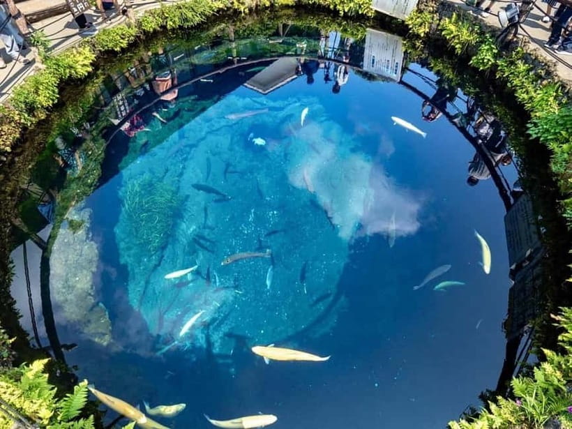 Mt Fuji Top 5 Spots Day Tour: Arakurayama Park,Oshino Hakkai - Oshino Hakkai Springs: Eight Pools Fed by Snowmelt