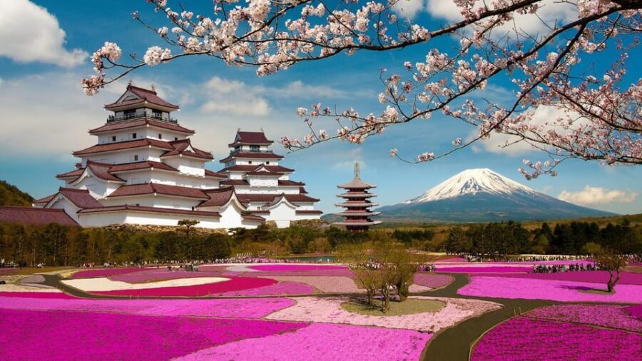 Mt Fuji Tour With Experienced English Driver - Stop-by-stop: what each place gives you (and what to watch for)