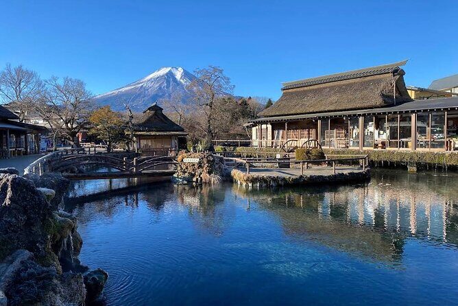 Mt Fuji Tour with Japanese Local Guide on Private Car from Tokyo - Price and value: is $405.96 per group worth it?