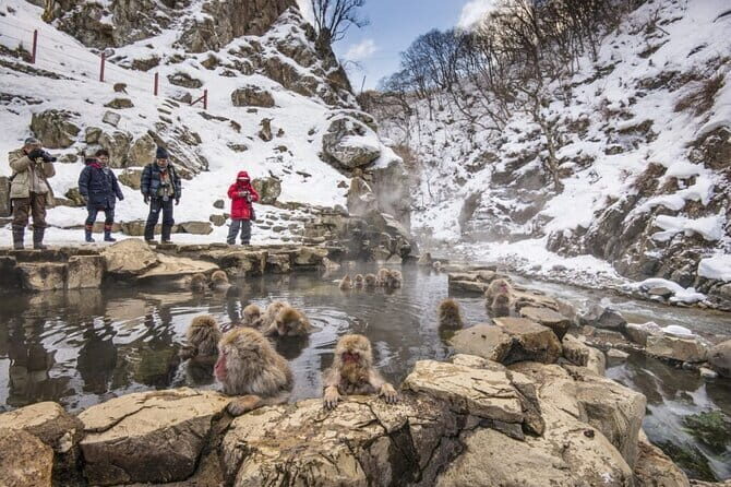Mt. Fuji Tours to Lake Kawaguchi and Yamanaka Onsen English Guide - Arakurayama Sengen Park vs Mt. Fuji 5th Station