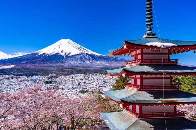 Mt. Fuji Tours to Lake Kawaguchi and Yamanaka Onsen English Guide - What the guides do (and why multilingual helps)
