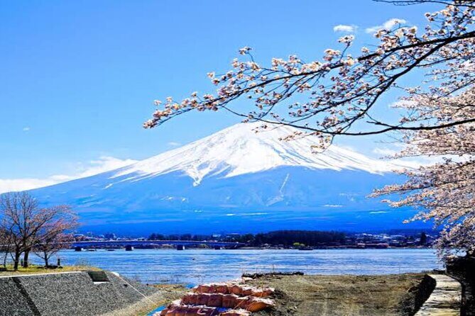 MT FUJI with Private Tour - Stop 6: Narusawa Ice Cave for a volcanic walk-in cold spot