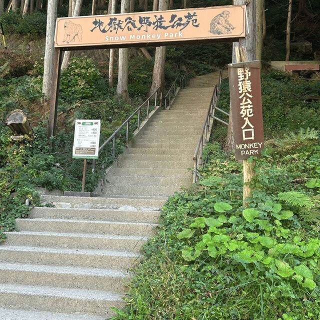Nagano/Tokyo: Snow Monkey Private Day Tour At Lowest Rate - Quick hits before you go