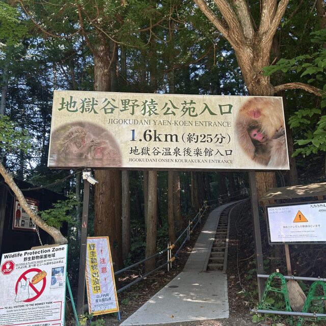 Nagano/Tokyo: Snow Monkey Private Day Tour At Lowest Rate - Why this Nagano-to-Tokyo Snow Monkey private day works