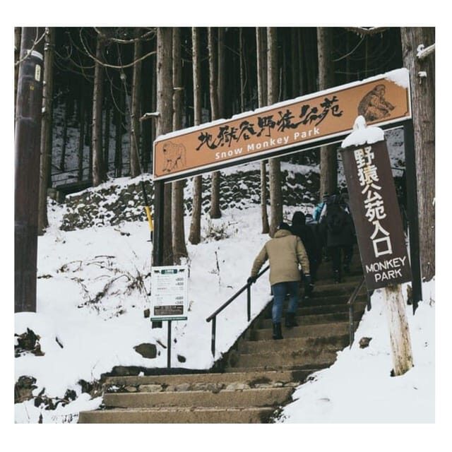 Nagano/Tokyo: Snow Monkey Private Day Tour At Lowest Rate - Shibu Onsen stop: quick atmosphere, not a full day