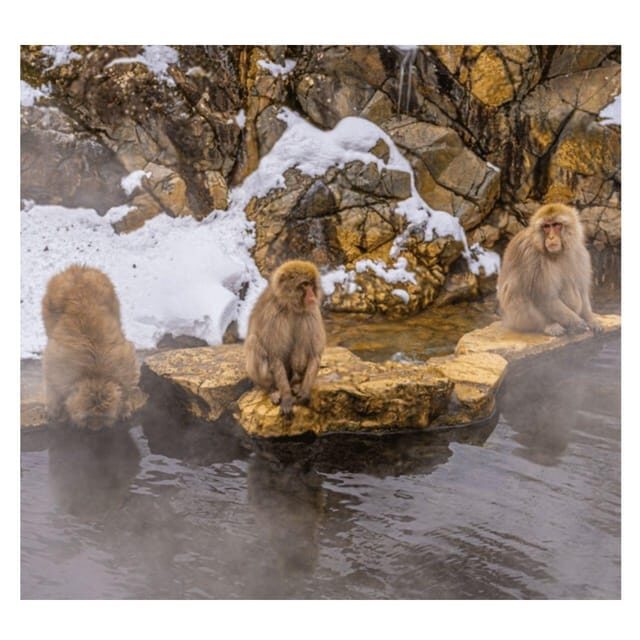 Nagano/Tokyo: Snow Monkey Private Day Tour At Lowest Rate - Custom swaps: Togakushi shrine and Matsushiro samurai areas