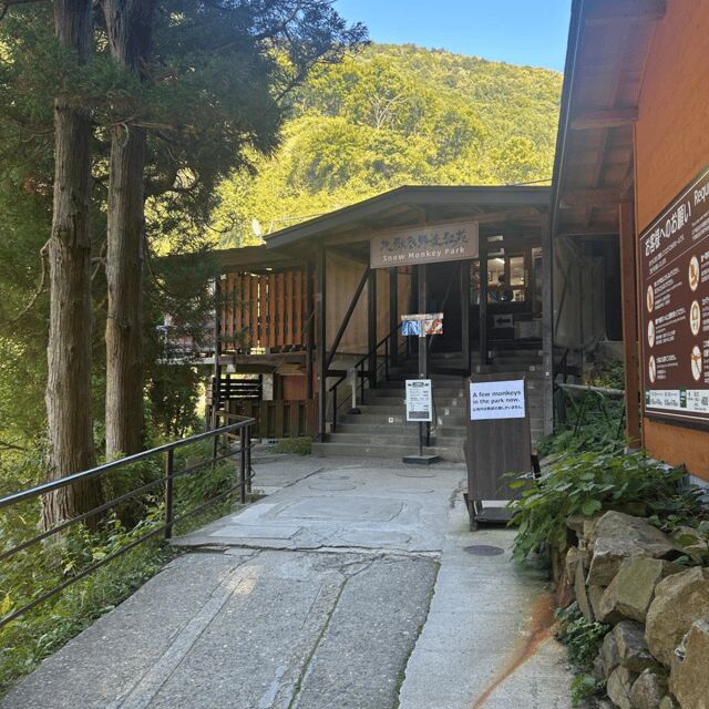Nagano/Tokyo: Snow Monkey Private Day Tour At Lowest Rate - Jigokudani Snow Monkey Park: the hot-spring magic plus the cold walk