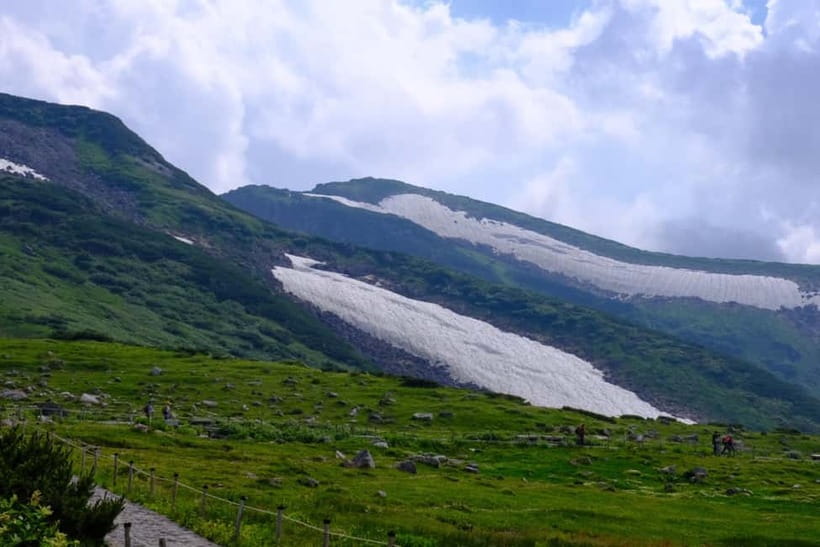 Nagano: World’s Edge Tateyama Kurobe Alpine Route Tour - Food up top and walking options: how to match the day to your energy