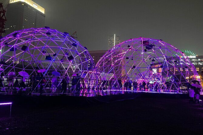 Night Walking Tour Yokohama, Walk and Discover with a Local - Who should book this night walk