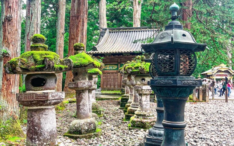 Nikko: Day Tour from Tokyo in Spanish - Spanish - Lunch Break and Getting Your Energy Back