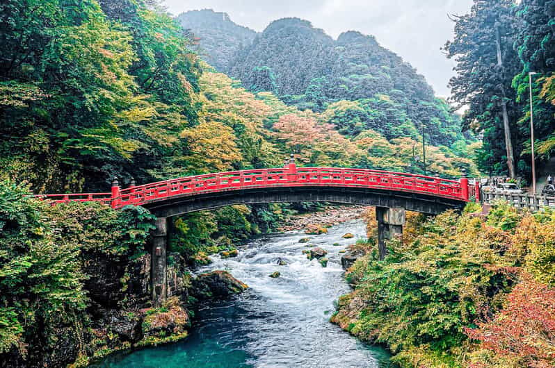Nikko: Day Tour from Tokyo in Spanish - Spanish - What the Guides Do Well (And How That Shows Up in Real Life)