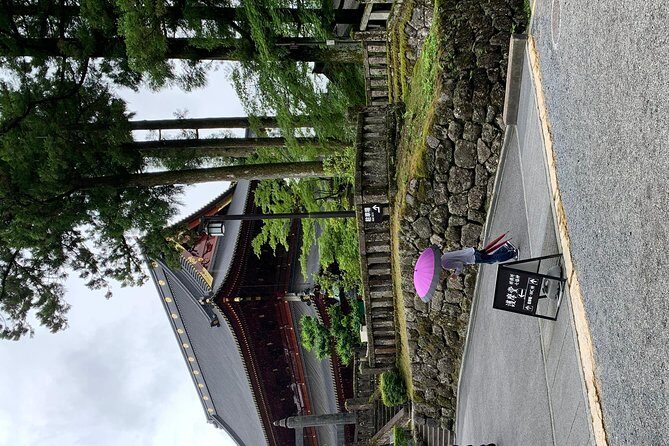 Nikko one day trip GREEN NUMBER PLATES - Timing that actually matters: 8:30 start and traffic risk