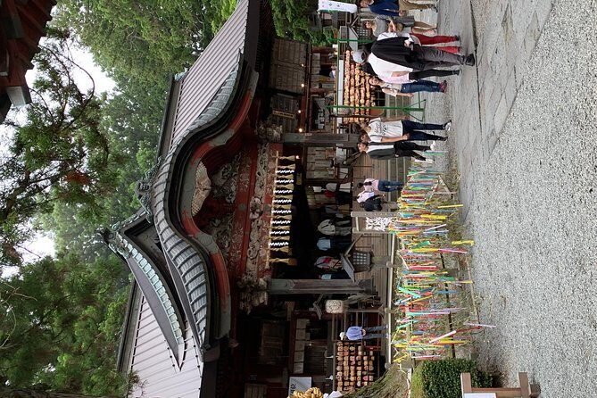 Nikko one day trip GREEN NUMBER PLATES - Driver vs guide: how to get the day-trip you expect