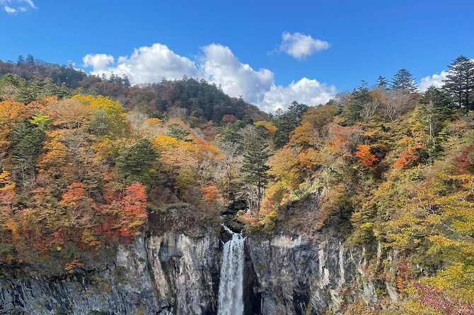 Nikko Private Day Tour with Guide by Car (from Tokyo) - English-Speaking Guide: What You Gain With a Pro
