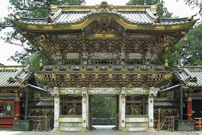 Nikko Private Tour by public transportation - Tokyo to Nikko by train: why this format works