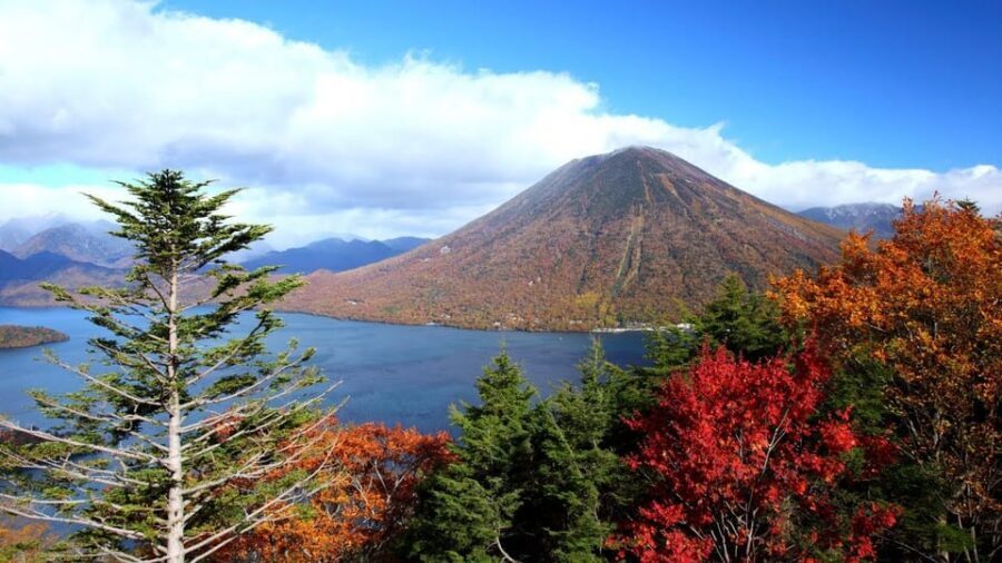 Nikko: Private Walking Tour with Local Guide - Transportation, Walking, and the Weather Reality