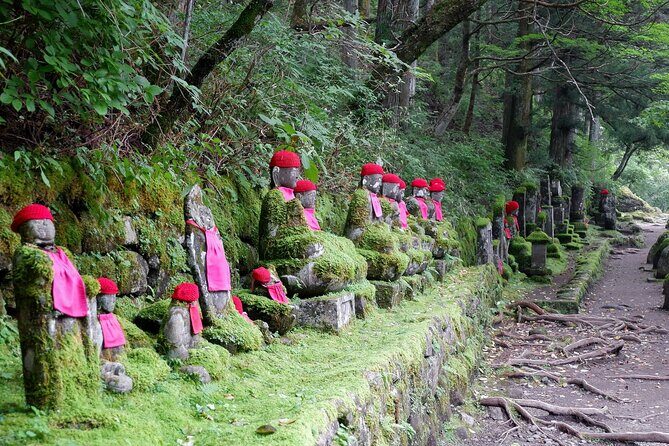 Nikko Tour by Private Car and English Speaking Driver - Nikko Toshogu Shrine: ornate carvings and a Tokugawa legacy