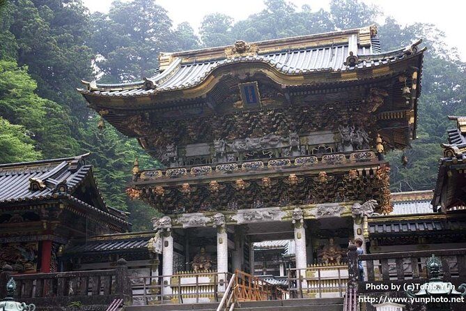 Nikko World Heritage 1 Day Tour - The Human Touch: Guides and Drivers Matter Here