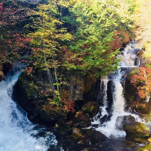 Nikko's Majestic Landscapes: Private Guided Tour - Lake Chūzenji: a proper break from temple-to-temple