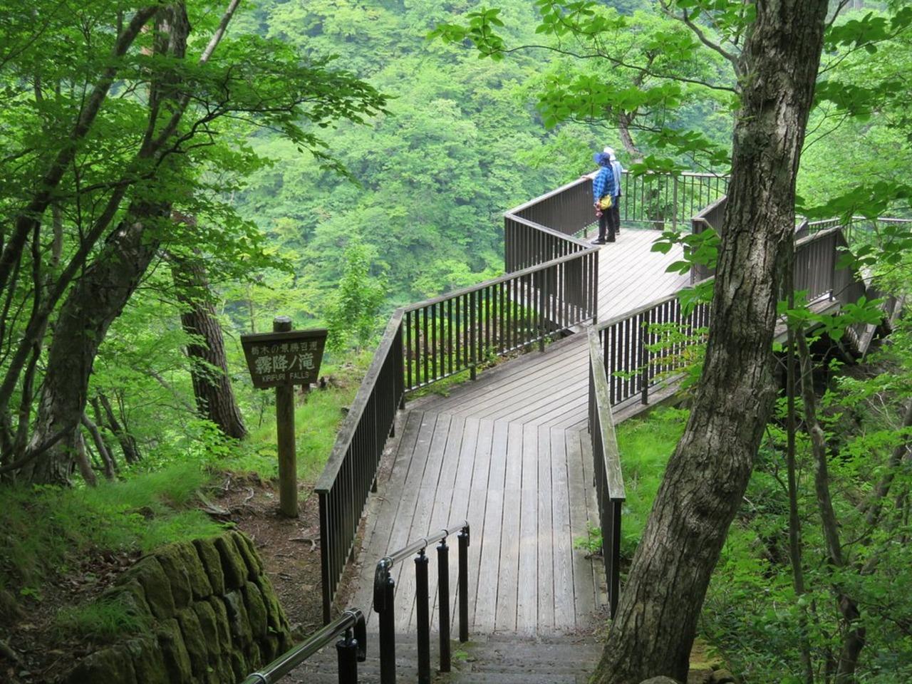 Nikko's Majestic Landscapes: Private Guided Tour - Rinno-ji Temple and Shinkyo Bridge: classic Nikko views with a story
