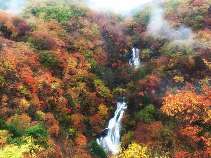 Nikko's Majestic Landscapes: Private Guided Tour - Food and shopping: local flavors without wasting the day