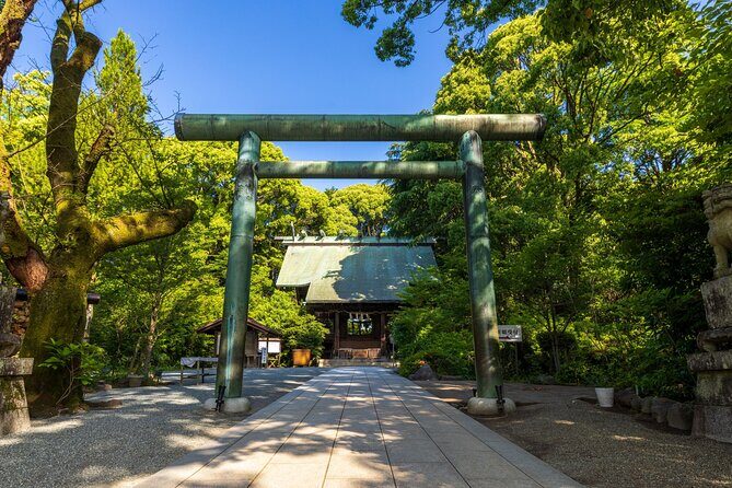 Ninja, Samurai, Odawara Castle Experience - Ninja training in the real world: what you’ll actually do