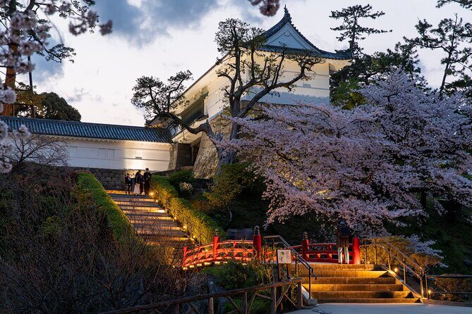 Odawara Castle and Town Guided Discovery Tour - Samurai Museum on Castle Grounds: Armor You Can Appreciate