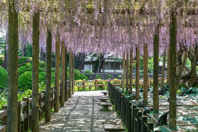 Odawara Castle and Town Guided Discovery Tour - Hotokuninomiya Shrine: The Scholar Behind the Statue