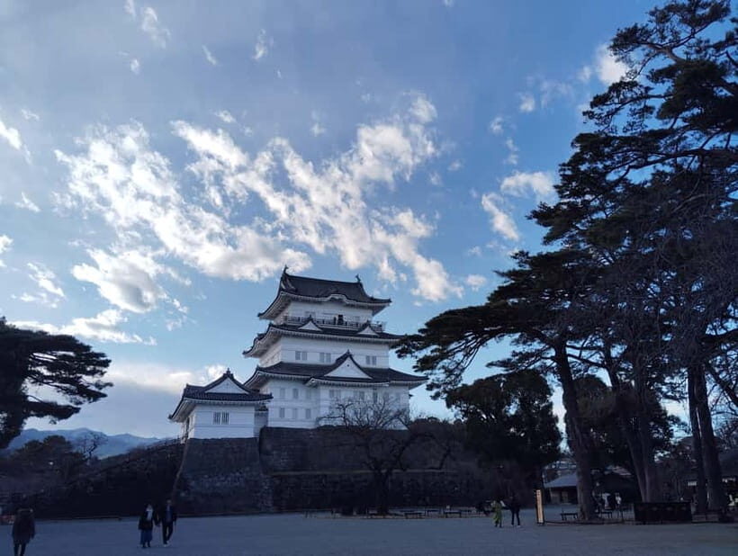 Odawara: Castle Guided Tour with Panoramic Views - Practical expectations: timing, group size, and crowd levels