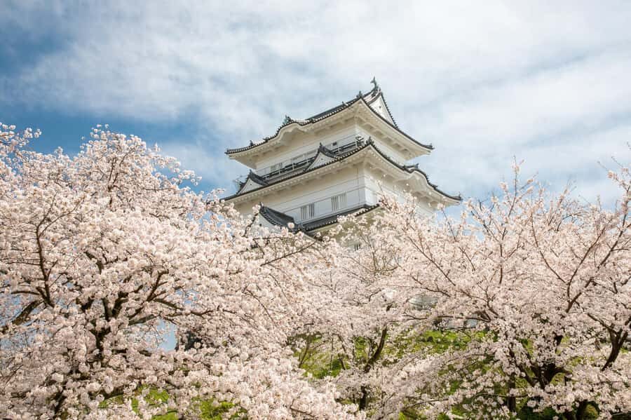 Odawara: Guided Ninja & Samurai Tour of Odawara Castle - Key highlights worth your attention