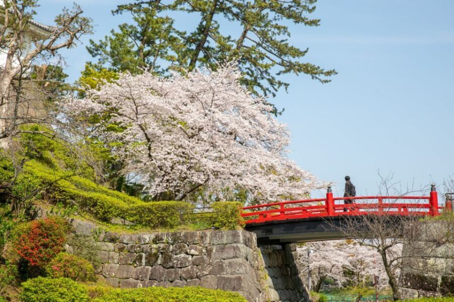 Odawara: Odawara Castle Tenshukaku Entrance Ticket - What Your Odawara Castle Ticket Actually Includes